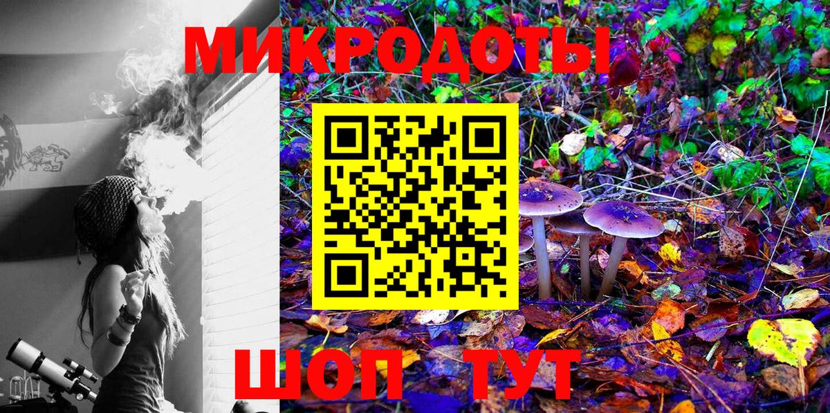 Галлюциногенные грибы Psilocybine cubensis Кандалакша
