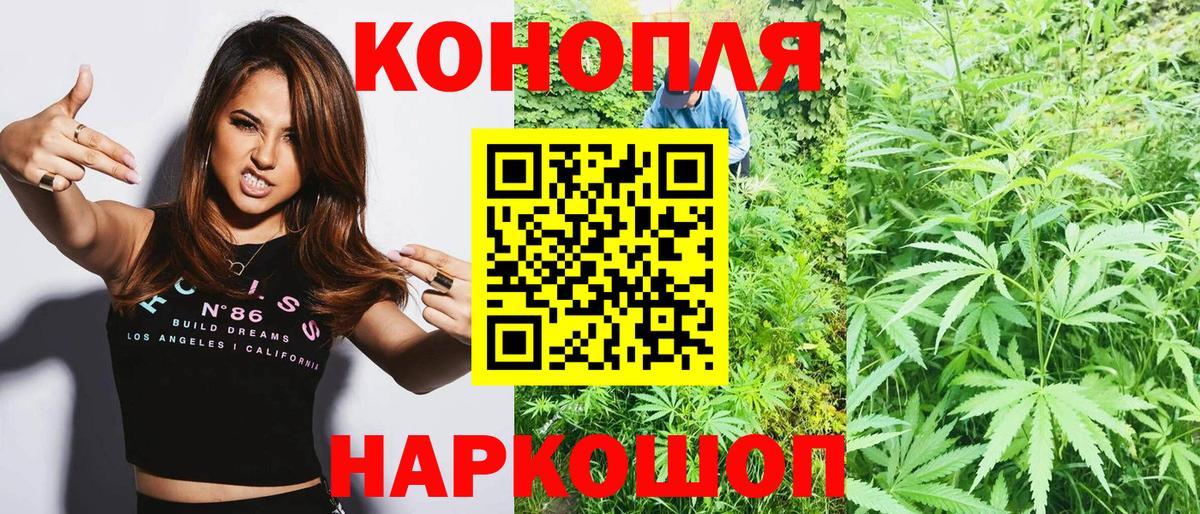Бошки марихуана сатива Кандалакша